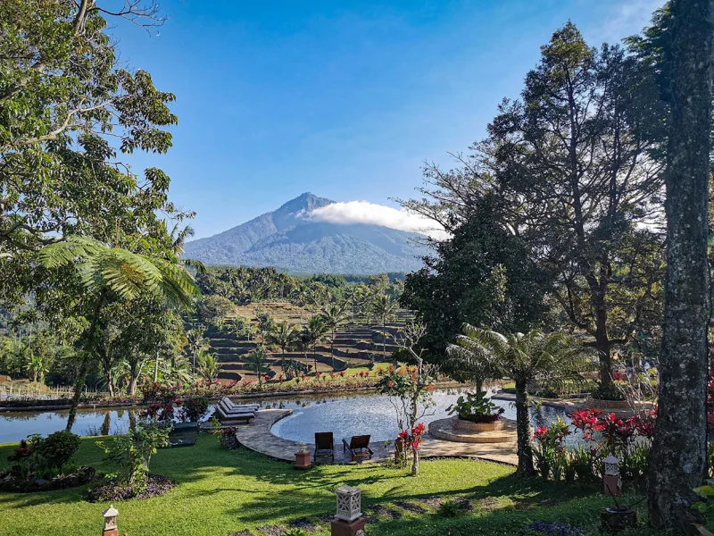 Pool und Garten des Ijen Resort & Villas mit Bergblick
